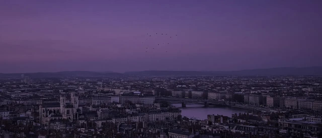 Lyon à l’aube vue depuis Fourvière : les toits de la Presqu’île, la Saône et quelques oiseaux en vol dans un ciel violet.